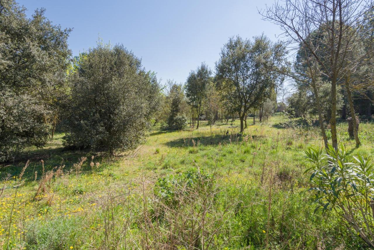 Mas Du Pont Du Gard Villa Sernhac ภายนอก รูปภาพ